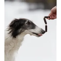 FINEST GIBIERS ET CANARDS EN SAUCISSE